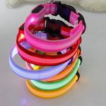 USB Charging LED Dog Safety Collar - Giftbuzz.com