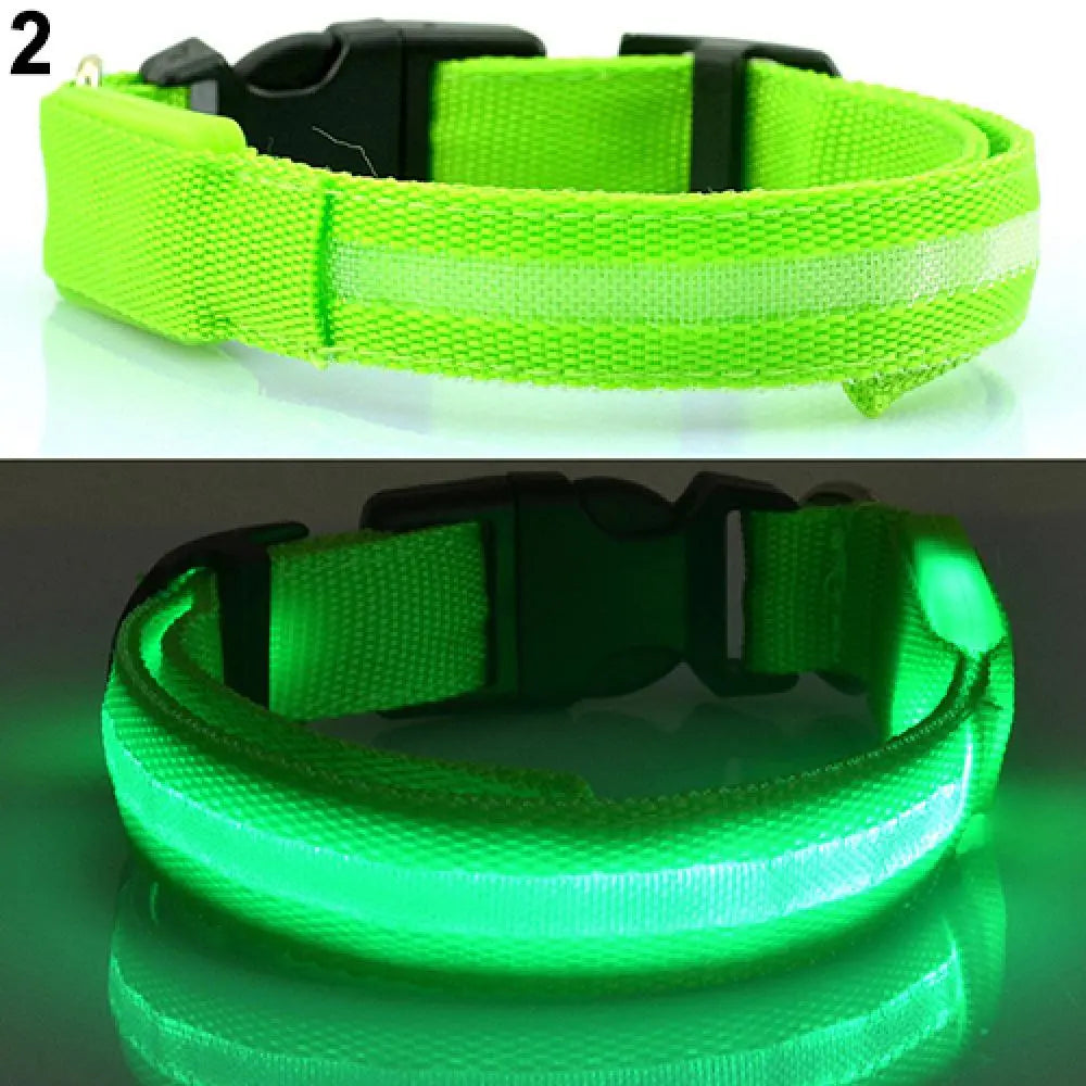 USB Charging LED Dog Safety Collar - Giftbuzz.com